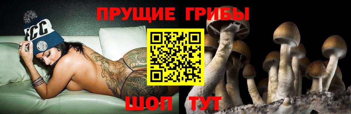Галлюциногенные грибы Magic Shrooms Миллерово