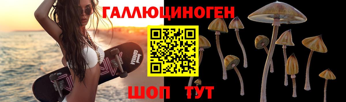 Миллерово  Галлюциногенные грибы прущие грибы  Вход с VPN 